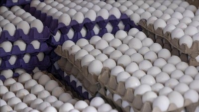 Mayısta fiyatı en çok artan ve düşen ürünler belli oldu