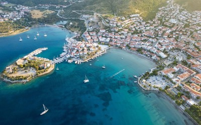 Datça'da 'mavi dil hastalığı' karantinası kaldırıldı