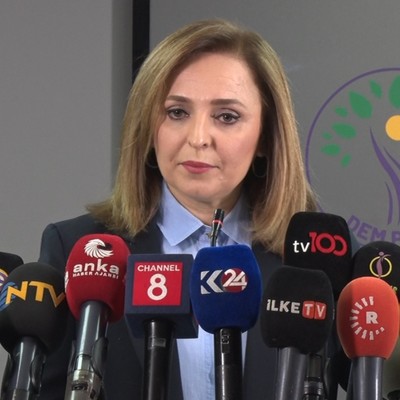 DEM Parti'li Doğan: Türkiye'nin kapsayıcı bir anayasaya ihtiyacı var