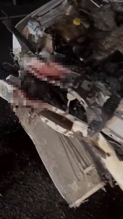 Hafif ticari aracın çarptığı at, ön camdan içeri girdi; sürücü ağır yaralı - Resim : 4