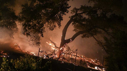 ABD'de Los Angeles büyüklüğünde alan kül oldu
