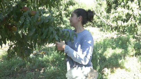 Milli sporcu Asmin, tarladan çıkıp ringde ter dökecek
