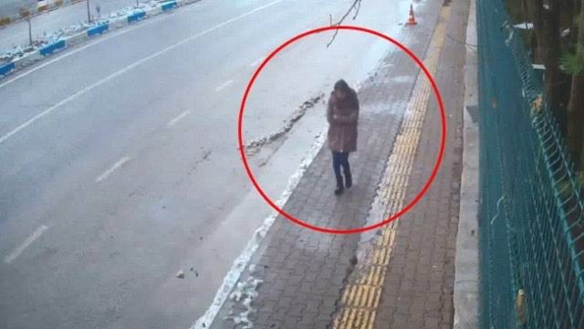 Tunceli’de kaybolan Gülistan Doku’dan 5 yıldır iz yok - Resim : 1