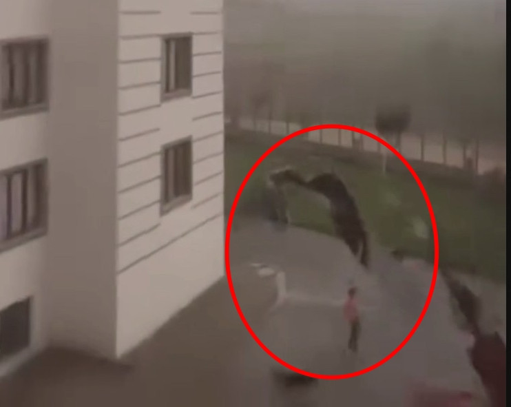 Diyarbakır ve Batman’da fırtına; çatı ve ağaçlar, araçların üzerine devrildi - Resim : 3