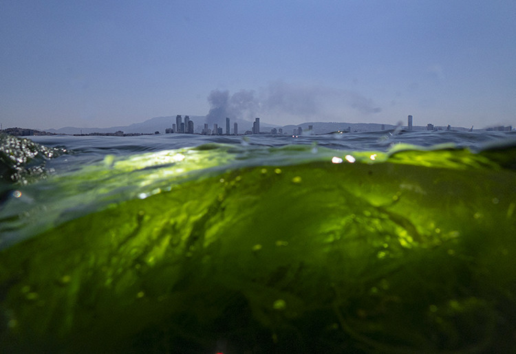 Cumhurbaşkanlığı Özel Kalem Müdürü Hasan Doğan AA'nın "Yılın Kareleri" oylamasında tercihini yaptı - Resim : 5
