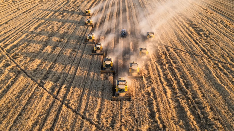 Çiftçilere 5,1 milyar lira destek ödemesi bugün yapılacak