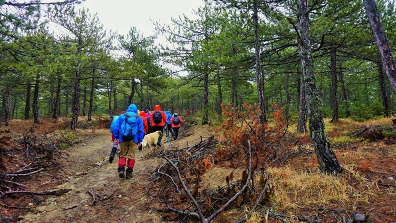 Eskişehir ve Afyonkarahisar’da ormanlara girişler 15 Haziran'dan itibaren yasak
