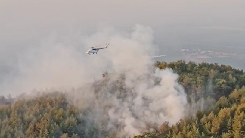 Aydın'daki orman yangınında 2’nci gün