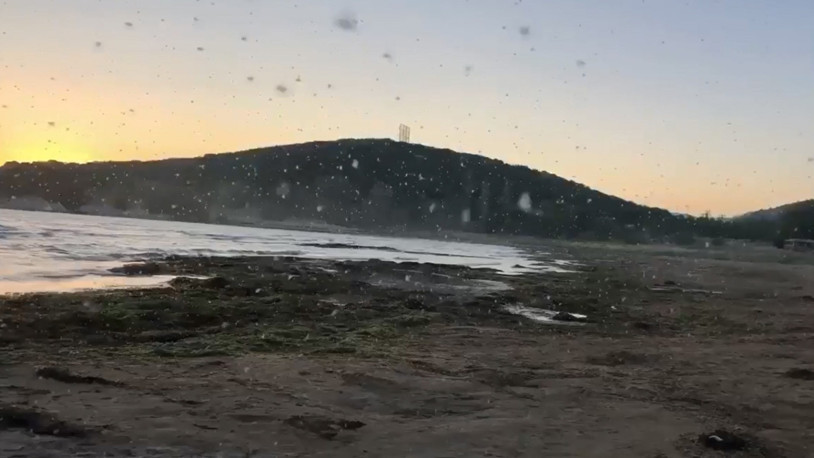 Eğirdir Gölü'nde bu kez sinek istilası