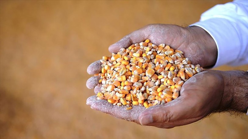 Ticaret Bakanlığı, mısır ithalatında gümrük vergisini yeniden belirledi
