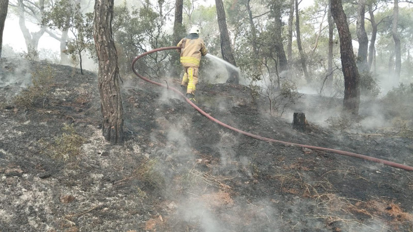 Heybeliada'daki yangın kontrol altında