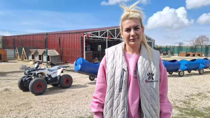 Ankara'da sokak hayvanları derneğine 'haksız kazanç' operasyonu; 19 gözaltı