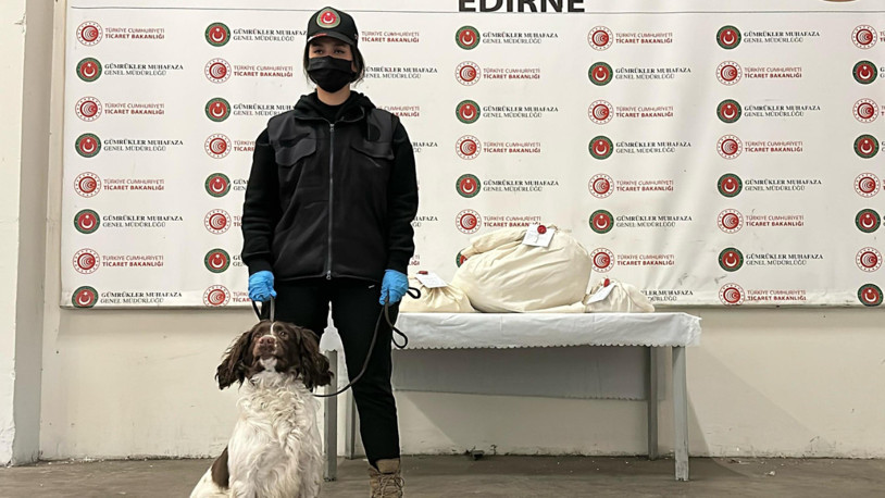 Kapıkule'de otomobildeki uyuşturucuyu 'Jeff' buldu