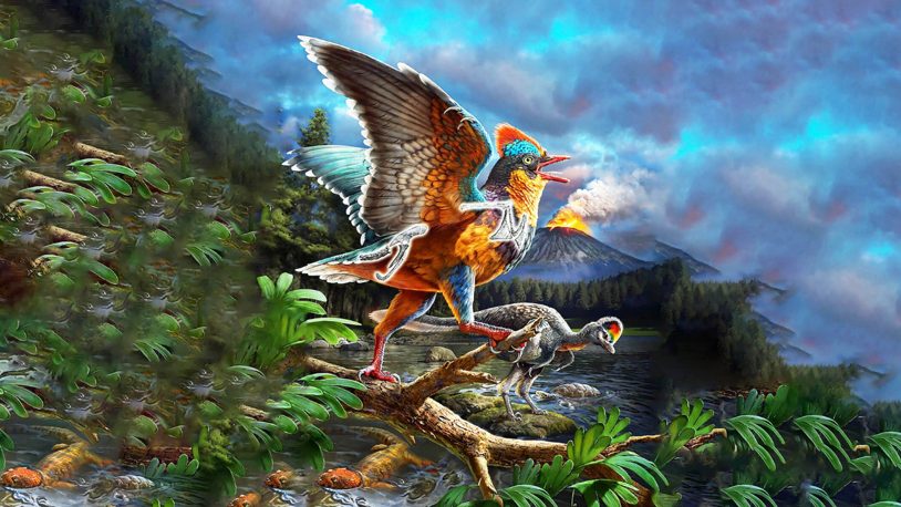 Bilim insanları en eski kuşlardan birini ortaya çıkardı