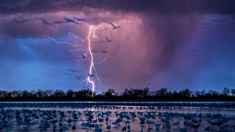 Hindistan'da yıldırım düşmesi sonucu hayatını kaybedenlerin sayısı 22’ye yükseldi