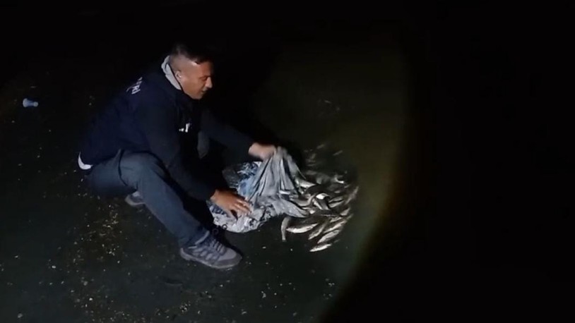 Van'da kaçak avlanan 60 kilo canlı inci kefali ele geçirildi
