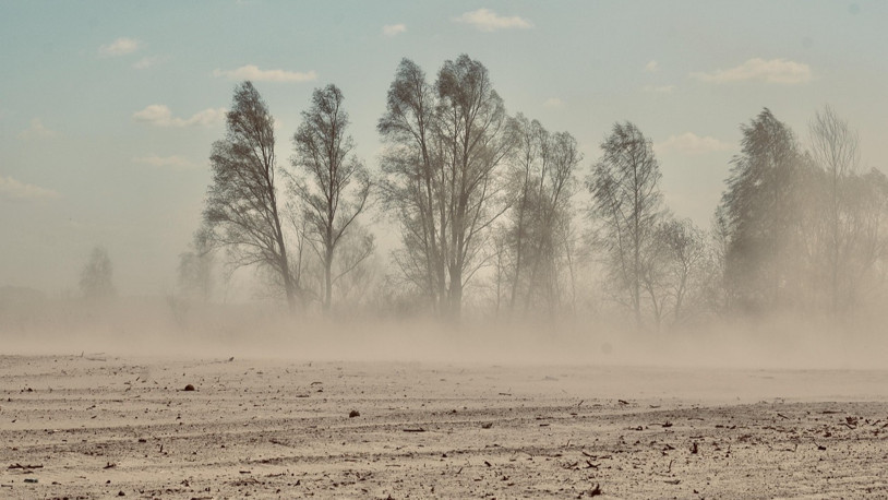 Arap ülkeleri kum fırtınasının etkisi altına girdi