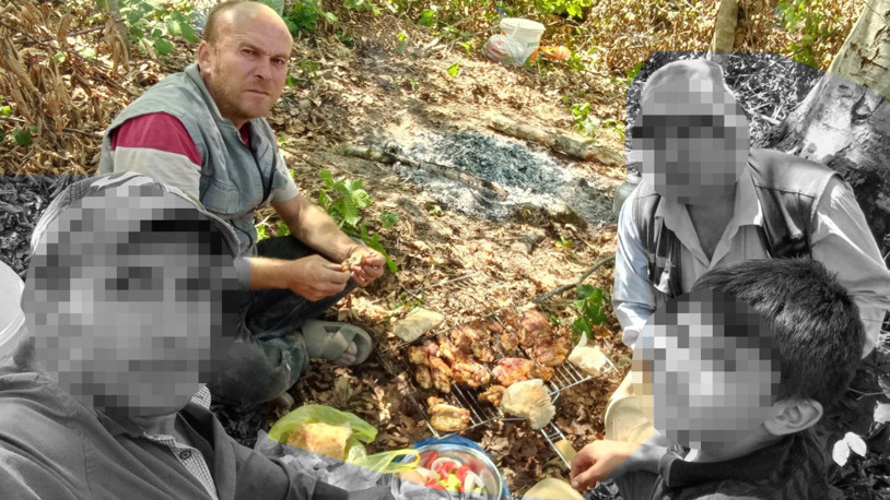 Kamyondan boşaltmaya çalıştığı tomrukların altında kalıp öldü