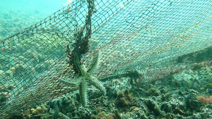İzmir Karaburun'da denizden 1,5 ton hayalet ağ çıkarıldı - KRT TV