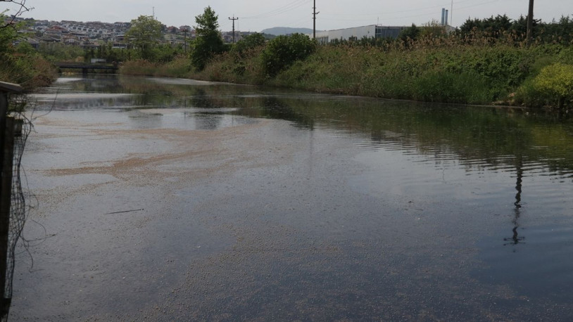 Marmara Denizi'ni kirleten YASKİ'ye 4 milyon lira ceza kesildi