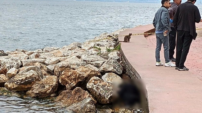 Sahildeki kayalıklarda erkek cesedi bulundu