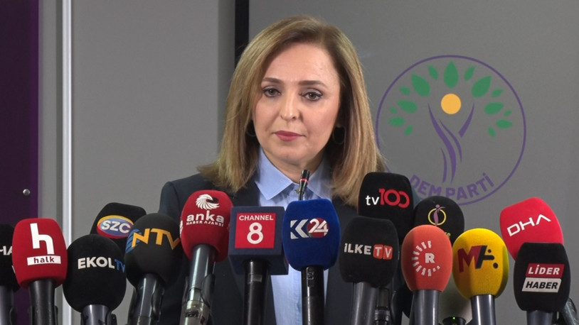 DEM Parti'li Doğan: Türkiye'nin kapsayıcı bir anayasaya ihtiyacı var