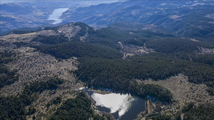 Ankara Valiliği: Ormanlık alanlara girişler 10 Haziran 2025­- 30 Eylül 2025 tarihleri arasında yasaklandı