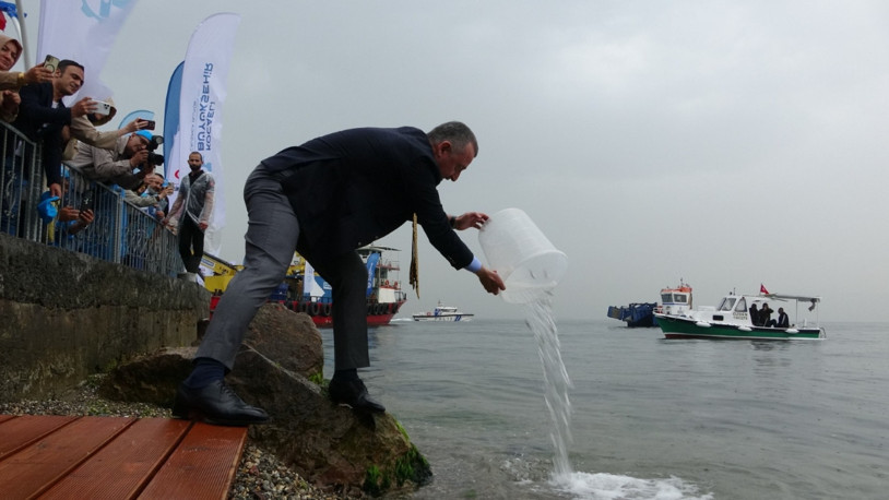 İzmit Körfezi’ne 6 bin balık ile 100 yapay resif bırakıldı