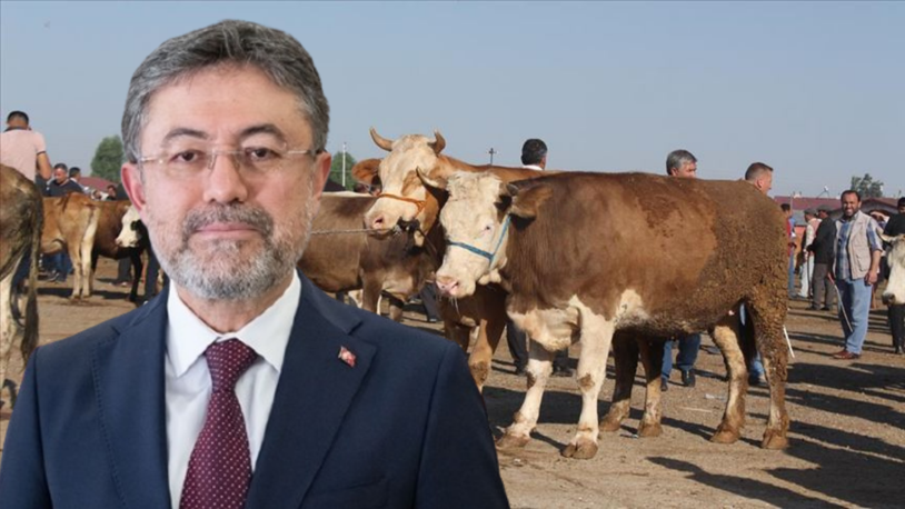 Bakan Yumaklı, kurbanlık fiyatlarında spekülasyona karşı uyardı