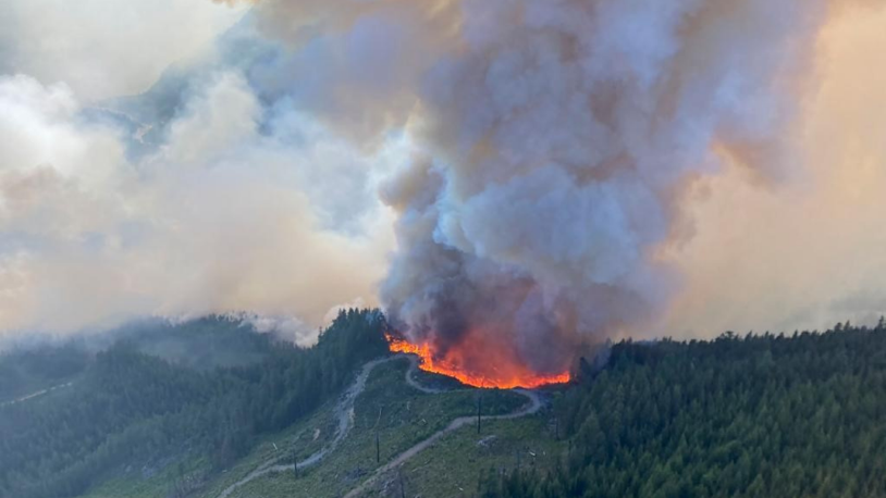 Kanada'da orman yangınları nedeniyle tahliye kararı verildi