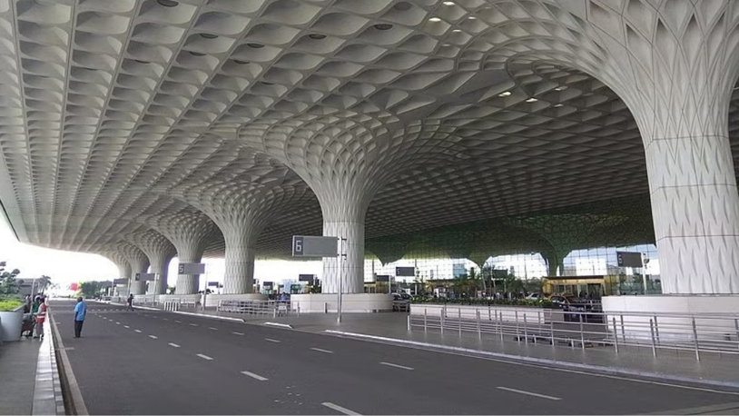 Yolcunun valizinden 48 zehirli yılan ve 5 kaplumbağa çıktı