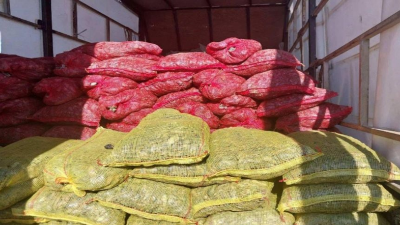 Sakarya'da 3 milyon TL değerinde kaçak midye ele geçirildi