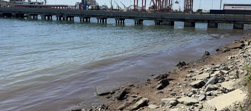 Tekirdağ'da kuvvetli rüzgar sonrası sahil kırmızı yosunlarla kaplandı - Resim : 2