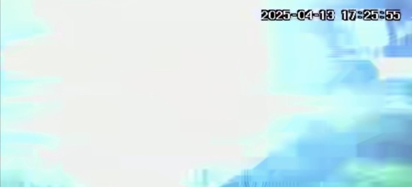 Ağaca yıldırım düştüğü o anlar kameraya yansıdı - Resim : 2