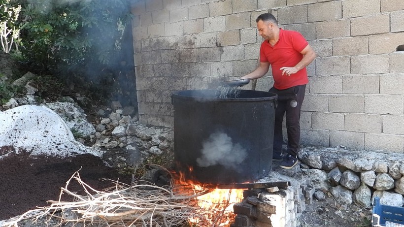 Doğada kendiliğinden yetişiyor, yağı 400 liraya satılıyor... İşte o mucizevi bitki - Resim: 5