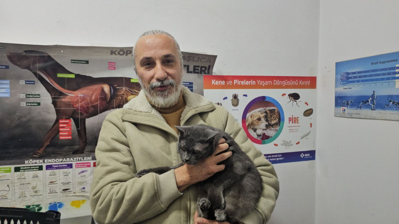 Türkiye'de bir ilk! Kediye altından diş yapıldı - Resim: 15