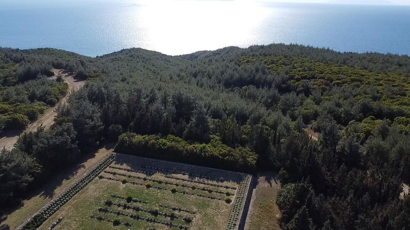 Atatürk'e Çanakkale'de sunulan raporda dikkat çeken ifadeler yer aldı: Ölmediğime teessüf ediyorum kumandanım - Resim: 2