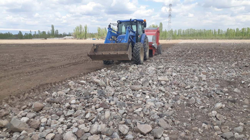 Hayvanlarına yem üretimi için kiraladığı araziden 1500 kamyon taş çıkardı, araziyi 7 yılda tarıma kazandırdı - Resim: 14