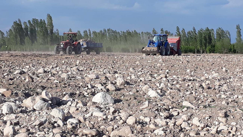 Hayvanlarına yem üretimi için kiraladığı araziden 1500 kamyon taş çıkardı, araziyi 7 yılda tarıma kazandırdı - Resim: 4