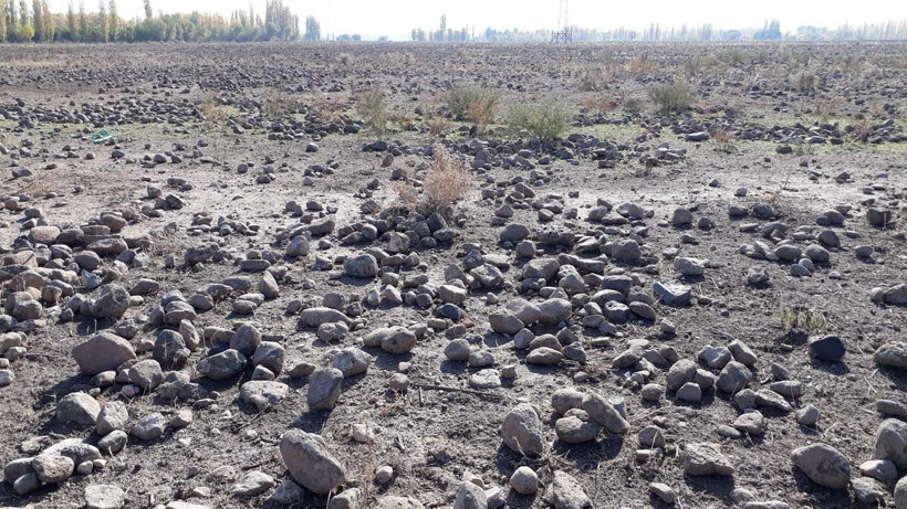 Hayvanlarına yem üretimi için kiraladığı araziden 1500 kamyon taş çıkardı, araziyi 7 yılda tarıma kazandırdı - Resim: 3