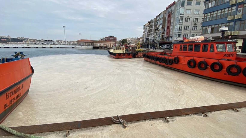 Prof. Dr. Büyükateş: Yaz aylarında müsilajın sistemde olmasını beklemiyoruz - Resim: 4