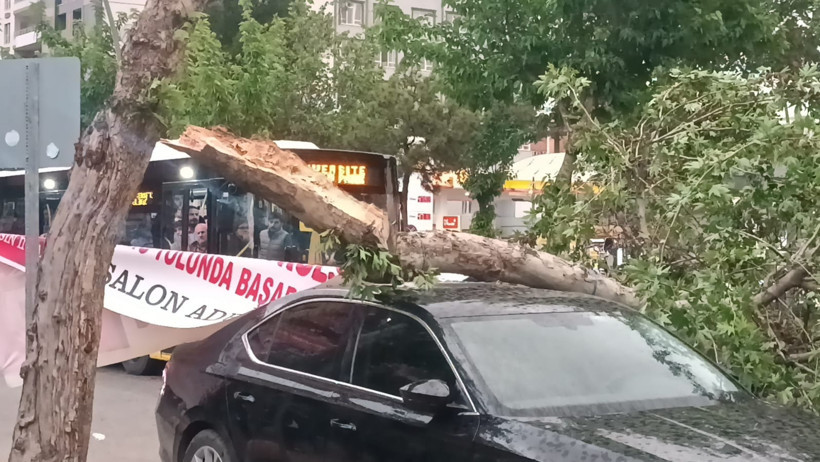 Diyarbakır ve Batman’da fırtına; çatı ve ağaçlar, araçların üzerine devrildi - Resim : 1
