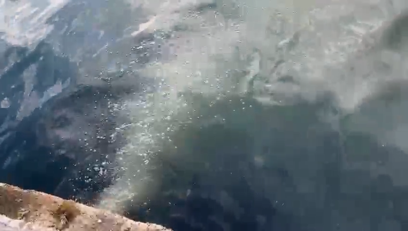 İSKİ yine Kuleli'de denizi kirletti: Atık su deşarjına 2.6 milyon TL ceza - Resim : 1