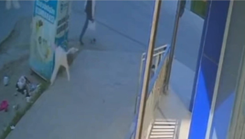 Tekirdağ'da 5'inci kattan düşen bebek hayatını kaybetti - Resim : 1