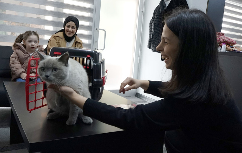 Kayıp kedisi ‘Badem’i bulanı altınla ödüllendirdi - Resim : 1