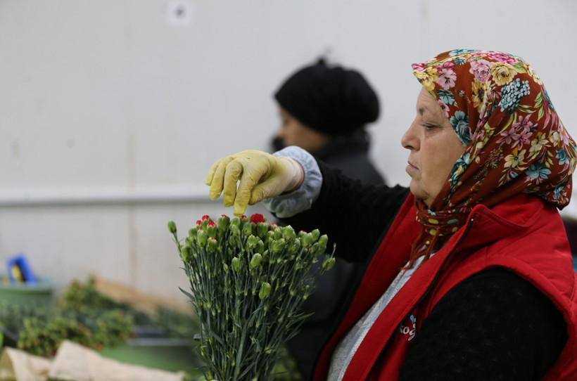 Dünyanın kadınlarına Türkiye'den 75 milyon dal çiçek - Resim : 3