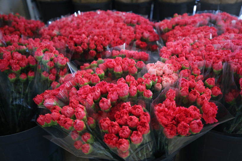 Dünyanın kadınlarına Türkiye'den 75 milyon dal çiçek - Resim : 1