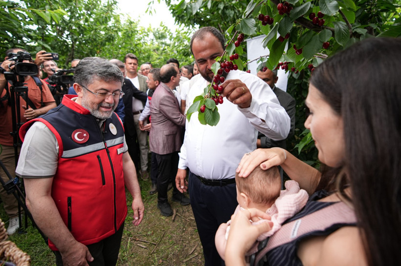 Bakan Yumaklı İzmir’de Kiraz Hasadına Katıldı: “2026 Desteklerini Güncelleyeceğiz” - Resim : 4