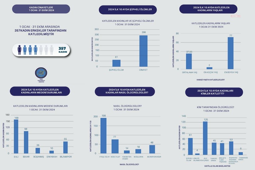 Türkiye Kadın Dernekleri Federasyonu açıkladı: 10 ayda 357 kadın, erkekler tarafından öldürüldü - Resim : 1