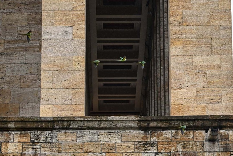 Anıtkabir'in papağanları - Resim: 9